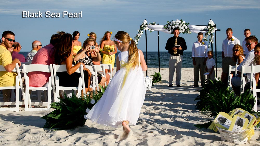 Destin Beach wedding package photos pix 8